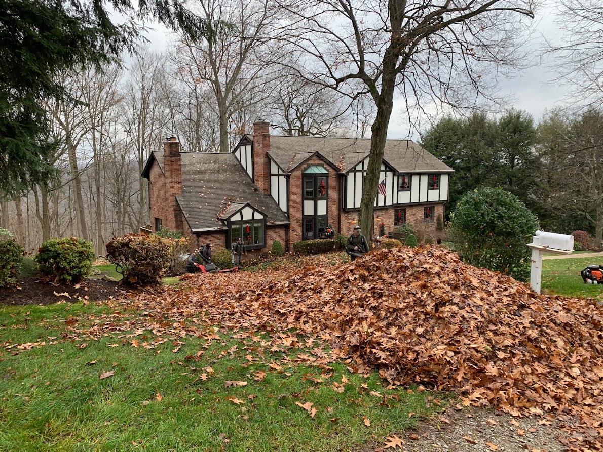 SpringSpring & Fall Cleanups in Venetia, Pa