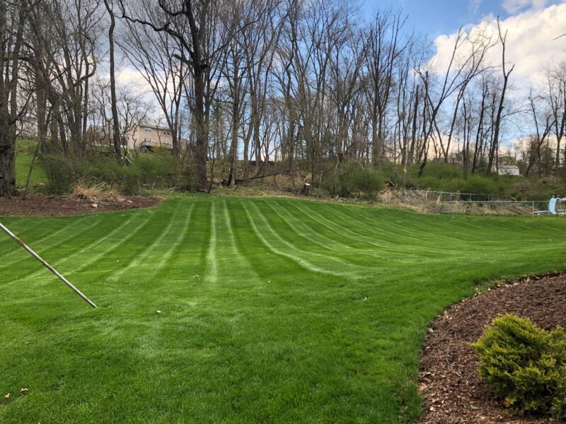 Bethel Park Landscaping Company