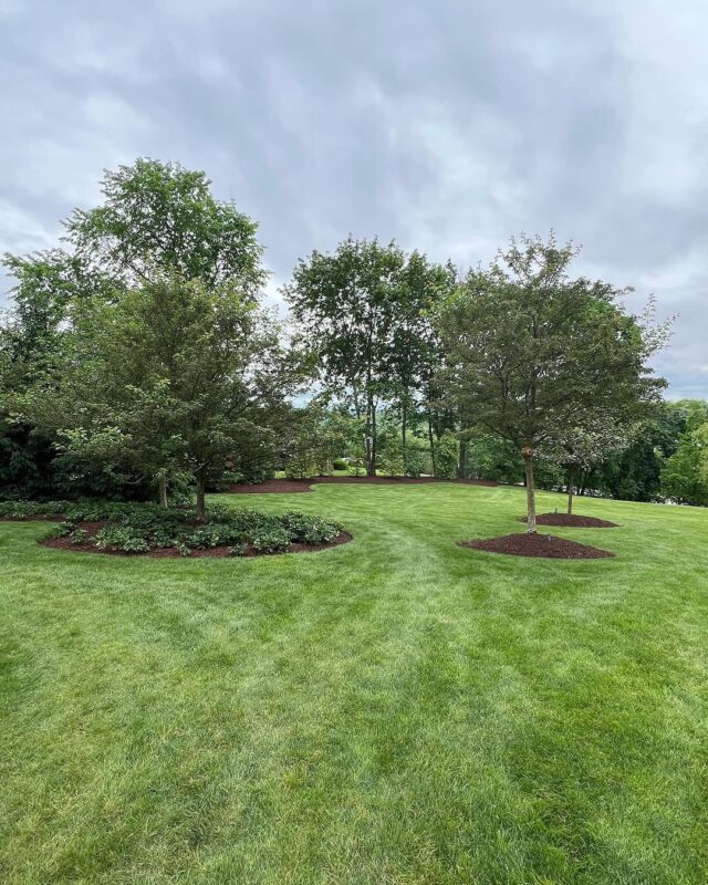 Upper Saint Clair Landscapers