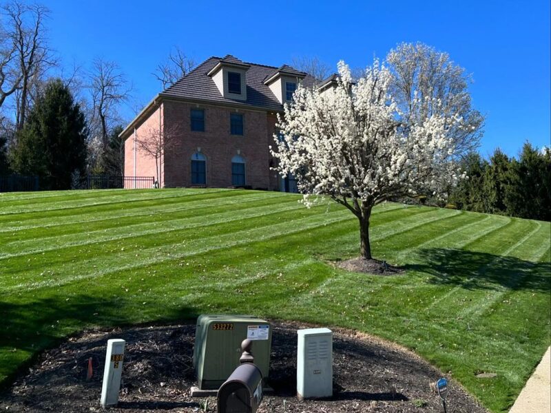 canonsburg grass cutting service