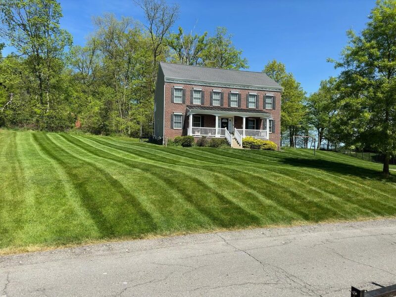 canonsburg lawn care service
