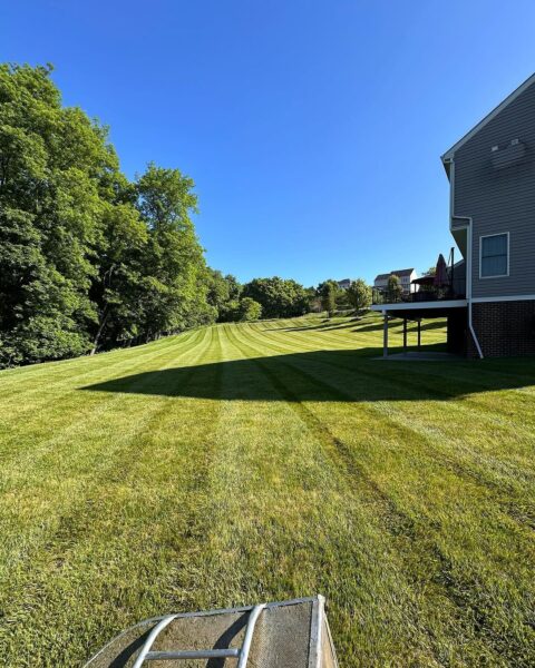 canonsburg lawn service