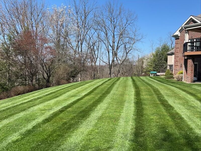 lawn mowing service canonsburg